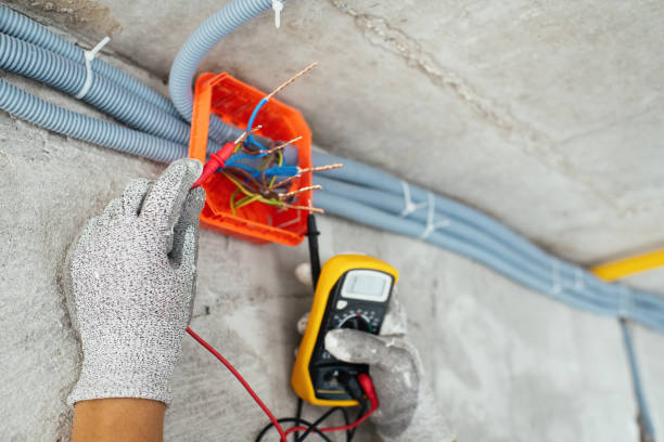 Best Electrician for Home Renovation  in Crystal City, TX